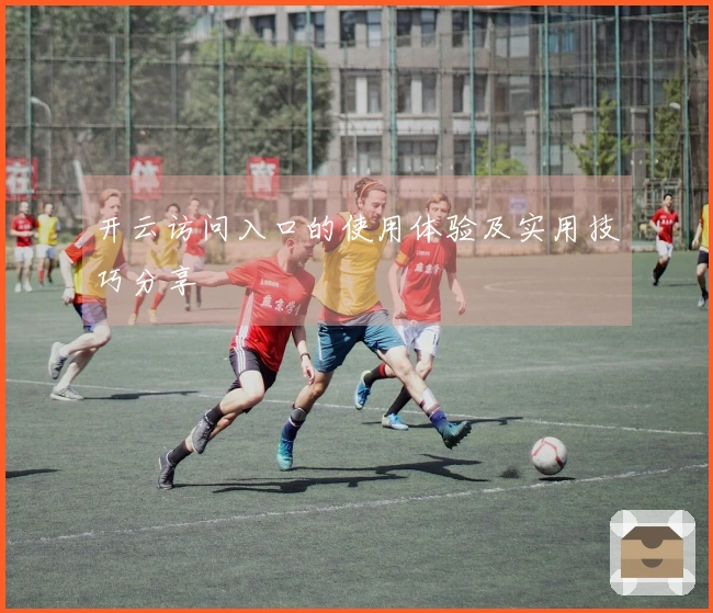 开云访问入口的使用体验及实用技巧分享