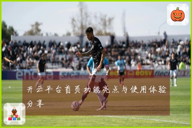 开云平台首页功能亮点与使用体验分享