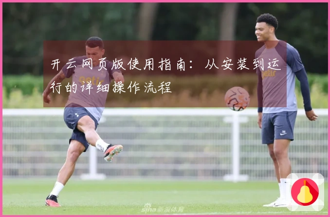 开云网页版使用指南：从安装到运行的详细操作流程